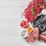 carnovore diet