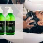 Manfaat Shampo Kelaya