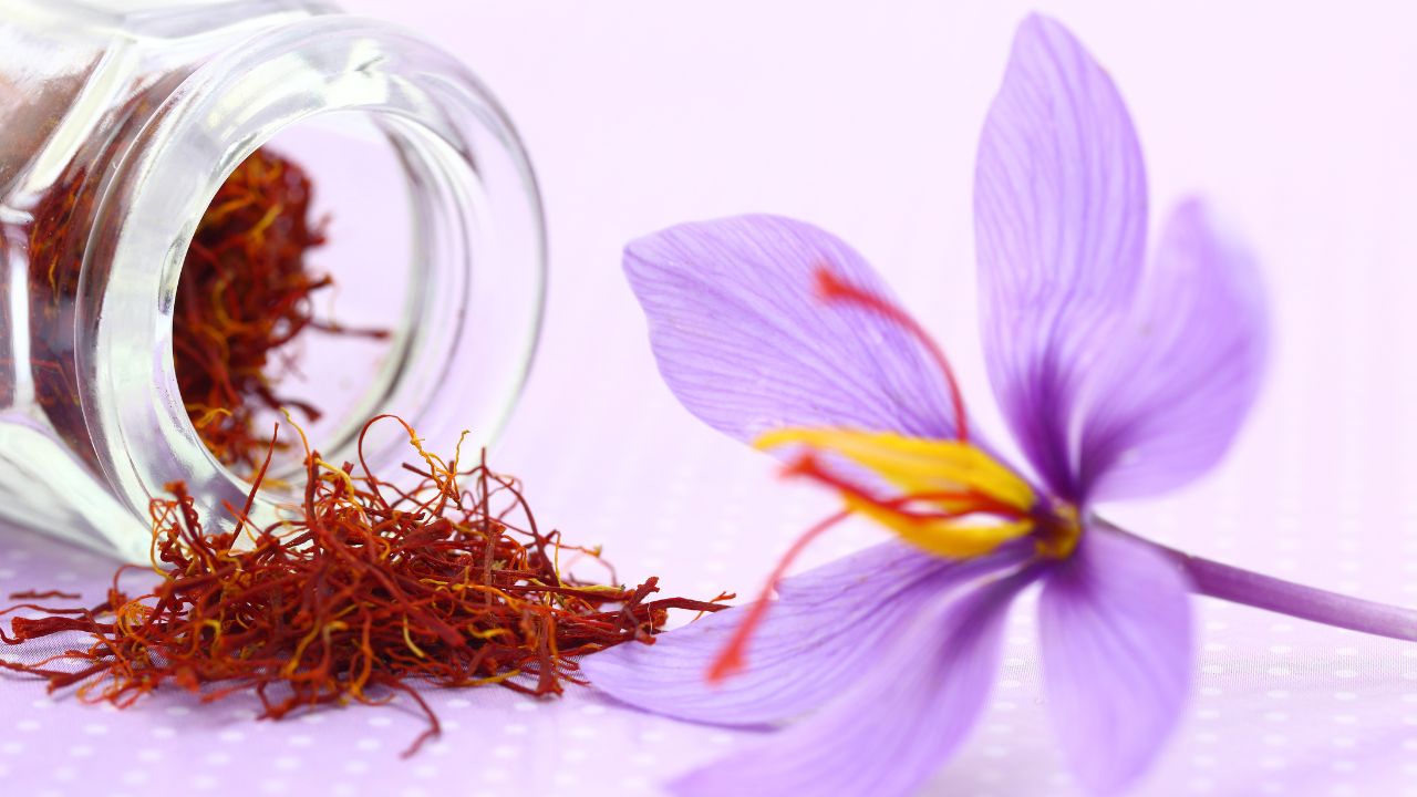7 Manfaat Bunga Saffron untuk Kecantikan Kulit Wajah yang Bisa Bikin Glowing