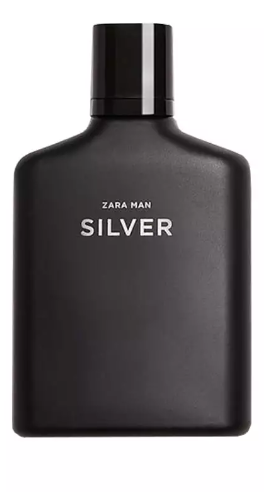 6. Zara Man Silver