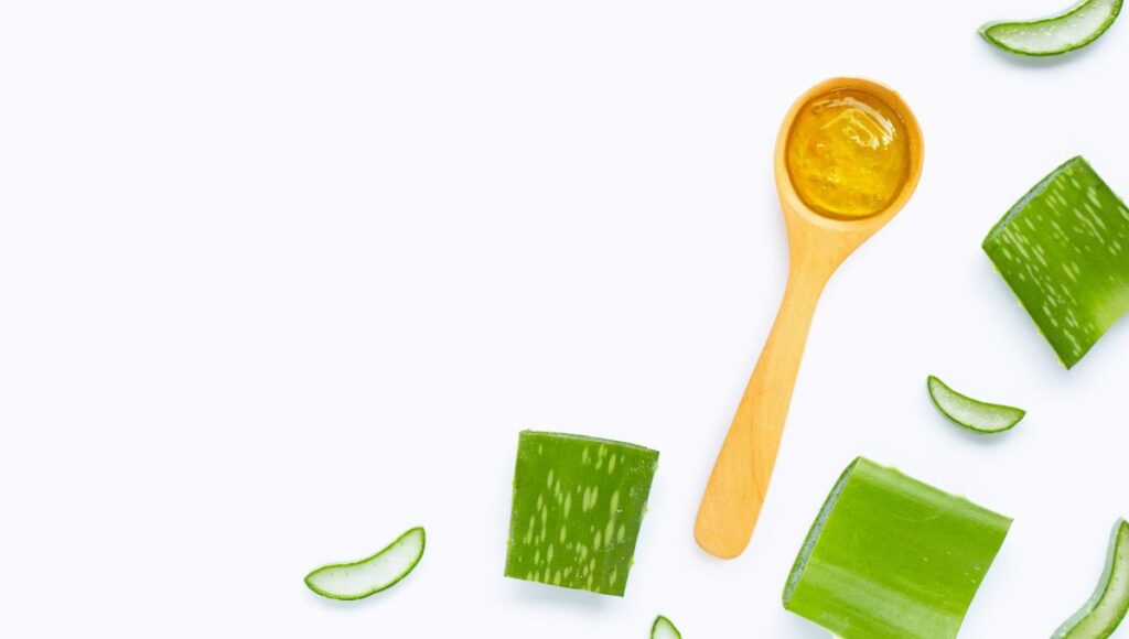 7 Rekomendasi Aloe Vera Gel Korea yang Bebas Alkohol