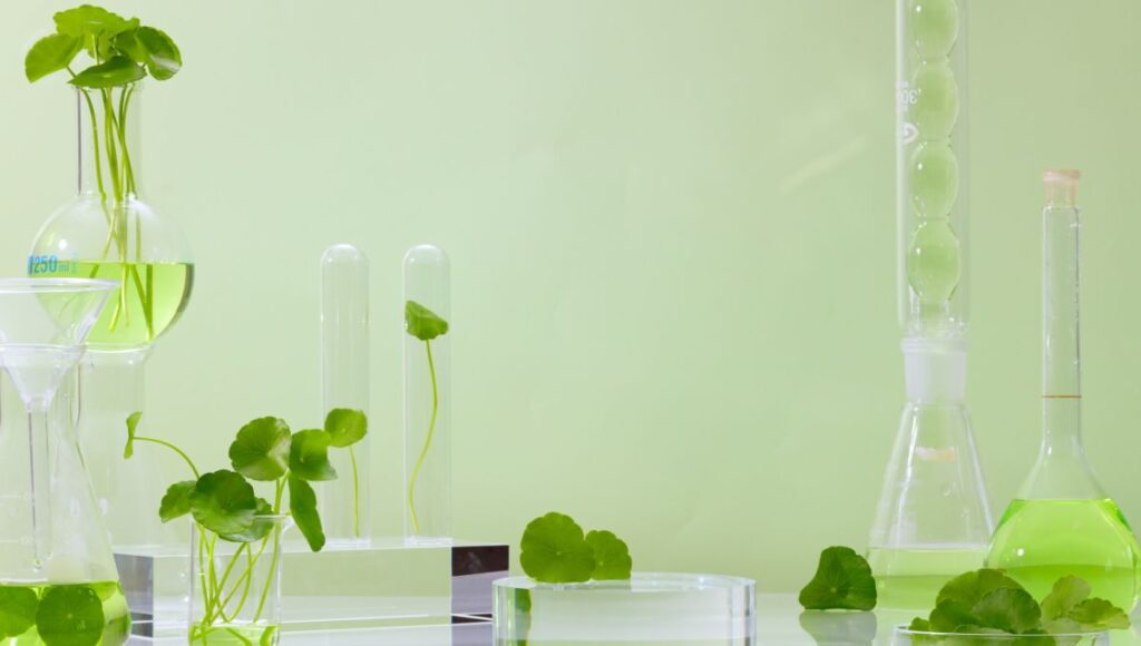 3 Manfaat Centella Asiatica untuk Wajah, Bikin Kulit Lembab!