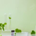 3 Manfaat Centella Asiatica untuk Wajah, Bikin Kulit Lembab!