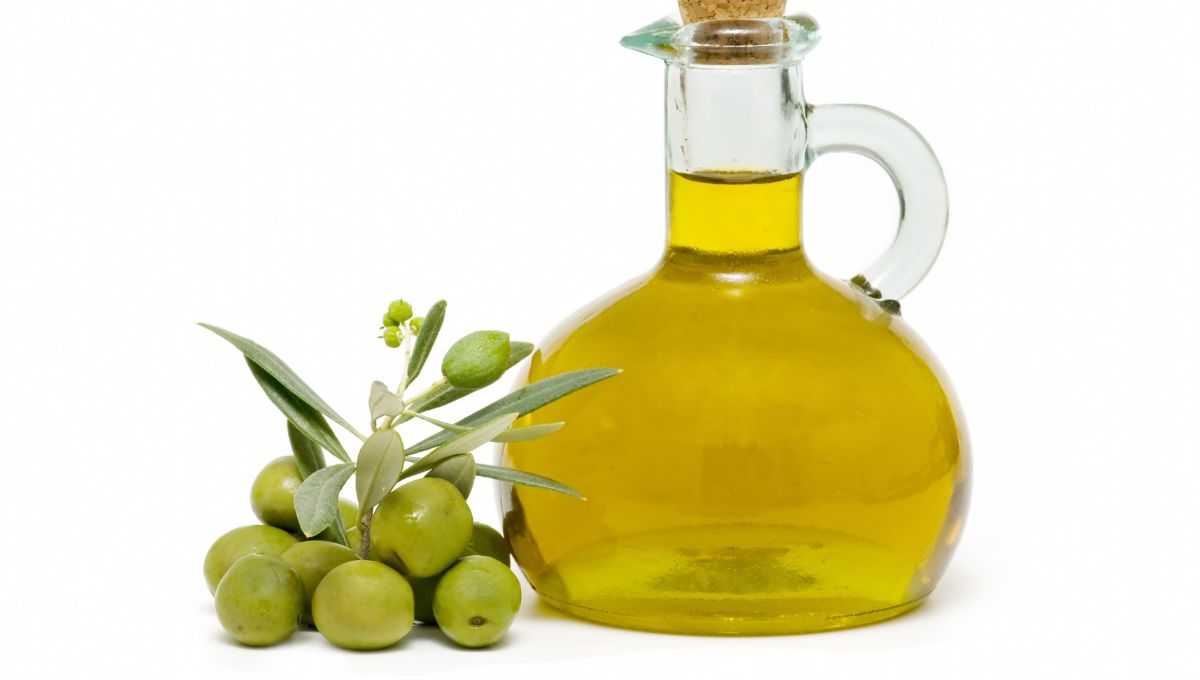 Olive-Oil 1. Minyak Zaitun