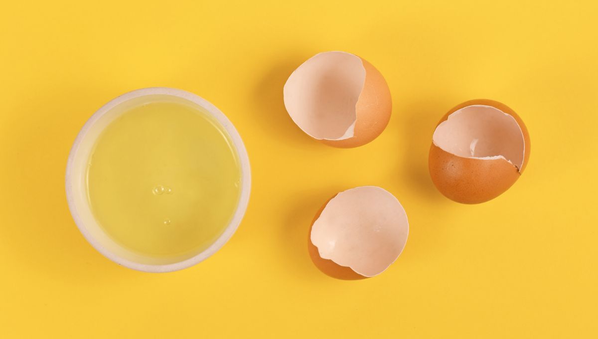 putih-telur 1. Putih Telur